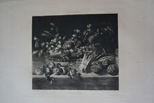 Willem KALF (1622-1693) GRANDE GRAVURE XIX°  NATURE MORTE FRUIT LEGUME 1880