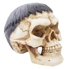 Résine Sculpture Crâne