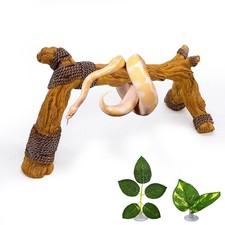Snake Climbing Branch Resin