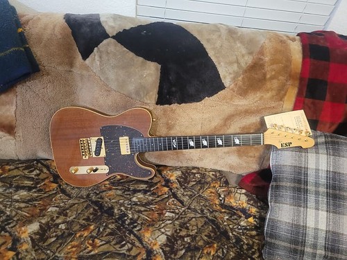 Esp crafthouse custom - esp,