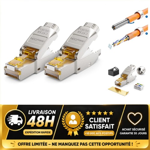 Deleycon prise réseau rj45 - 2x,