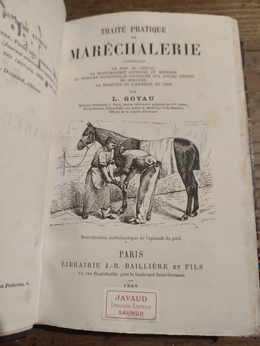 Goyau traité - l.,