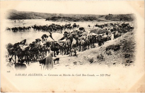 Cpa algeria sahara - algeria, algerien