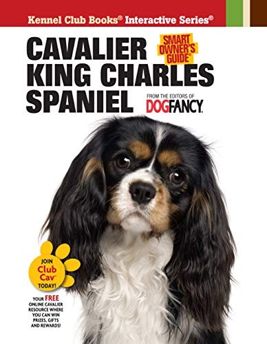 Cavalier king charles spaniel - king,