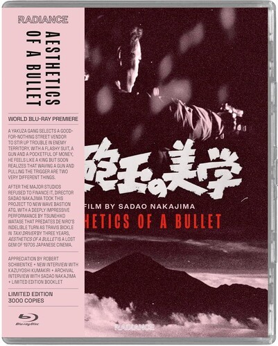 Aesthetics bullet new - aesthetics, of