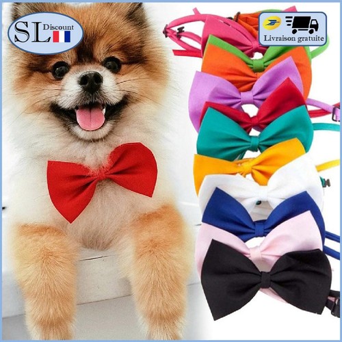 Nœud papillon pour - , chiots