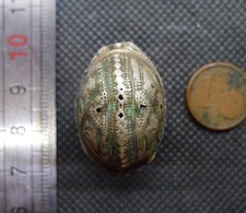 28mm Perle Argent Aggrab Al