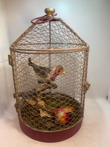 Ancienne cage avec - avec, decoration