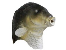 Marron Poisson Carpe Masque