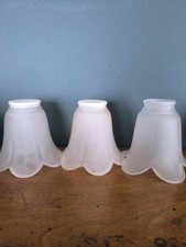 Lot De 3 Tulipes Lustre