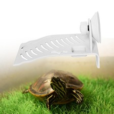 Tortue aquatique Basking Rampe