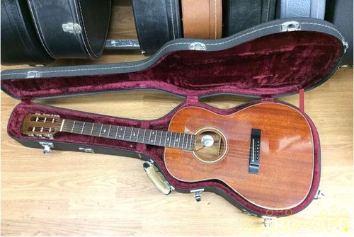 Guitare électrique acoustique