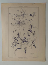 J.HABERT-DYS PLANCHE