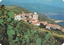 Postcard 10x15cm postcard CARGESE CORSE figs of barbarism