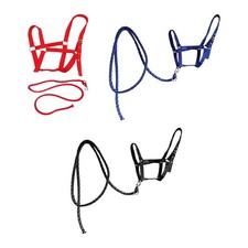 Harnais pour cheval réglable