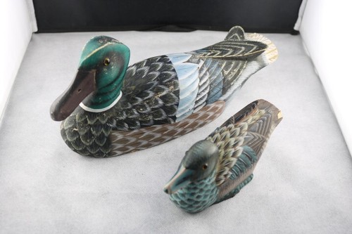 Canards bois enten - en, bois,