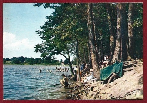 Cpsm foret de troncais - foret,