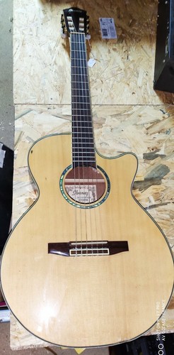 Guitare ibanez aeg10nentl202 - guitare,