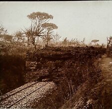 ITALY Bosco Lave of Vesuvius Railway 1906 Photo Stereo Glass Plate 