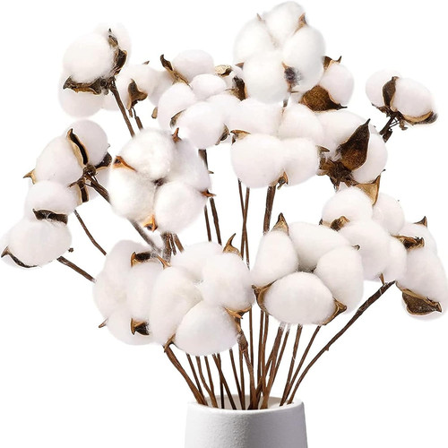 Pack natural cotton stems - natural,