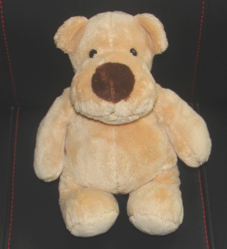 Doudou chien ours beige - chien,