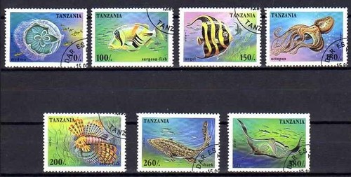 Animaux poissons tanzanie - animaux,