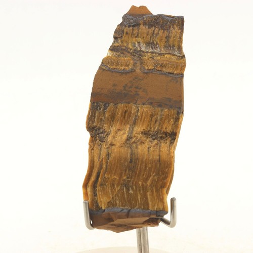 Tiger eye 132 - eye., ct