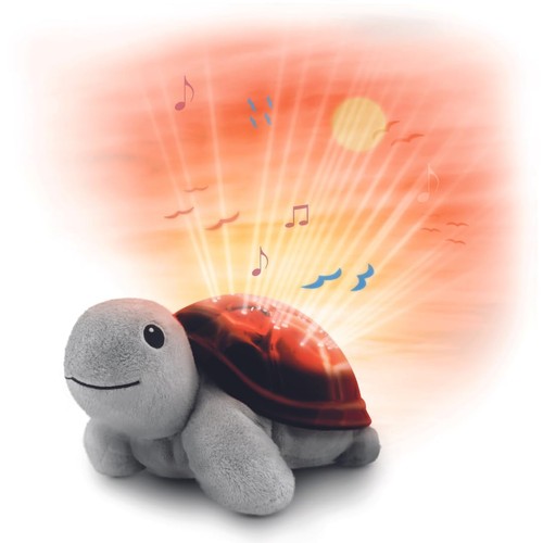 Tim tortue projecteur - tim,
