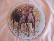 Tapis de souris - PINSCHER