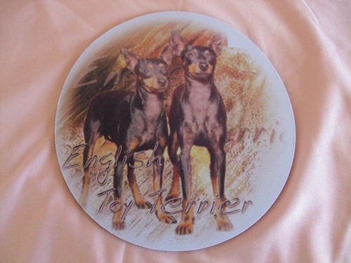 Tapis souris pinscher - souris,