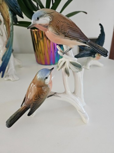 Oiseaux porcelaine saxe - oiseaux, en