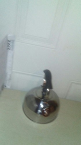 Stainless steal tea kettle