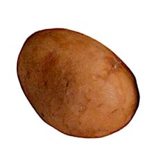 Patate En Marbre Peint à la