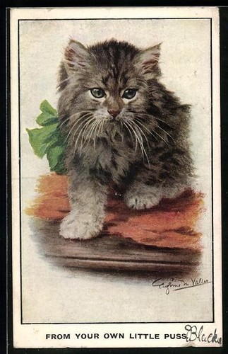 Carte postale artiste beau - carte, d'artiste