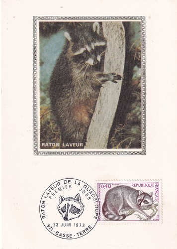Carte 1er jour nature - 1er,