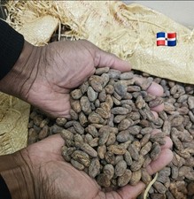 Fèves de cacao BIO ,crues