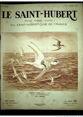 Saint hubert chasse gibier - hubert,