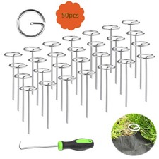 50 piquets de jardin à tête
