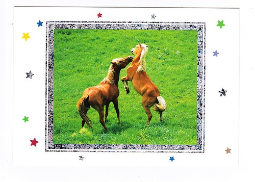 Cheval chevaux carte - cheval, postale