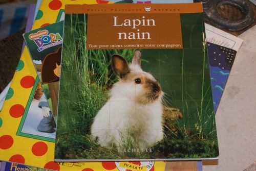 Lapin nain 1991 - lapin,
