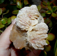 Baryte & Quartz Lantignié