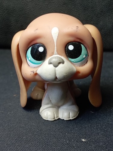Lps littlest petshop pet shop - lps,