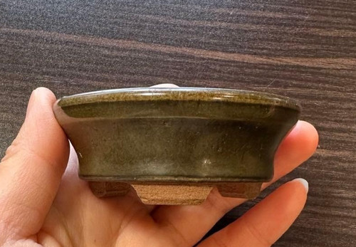 Pot bonsaï japonais tenryu - pot,