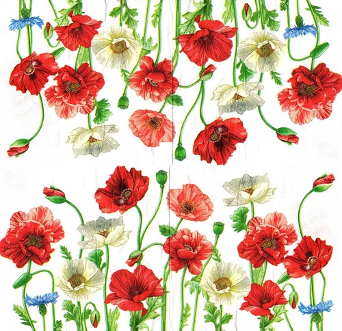 Serviettes papier - serviettes, en