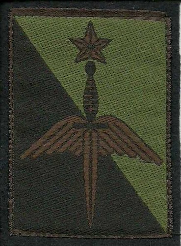 Insigne tissu patch militaire - insigne,