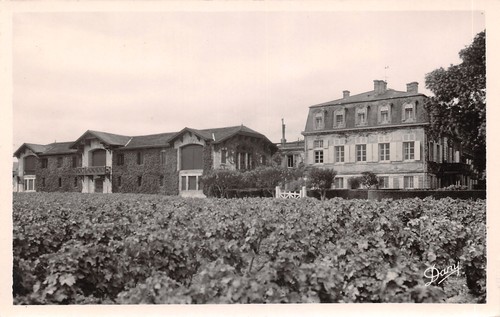 Pauillac chateau pontet - 33-pauillac-chateau,