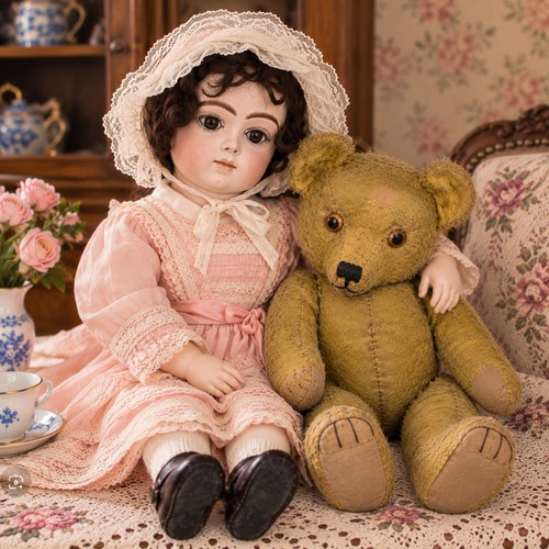 Grand ours ancien - , en