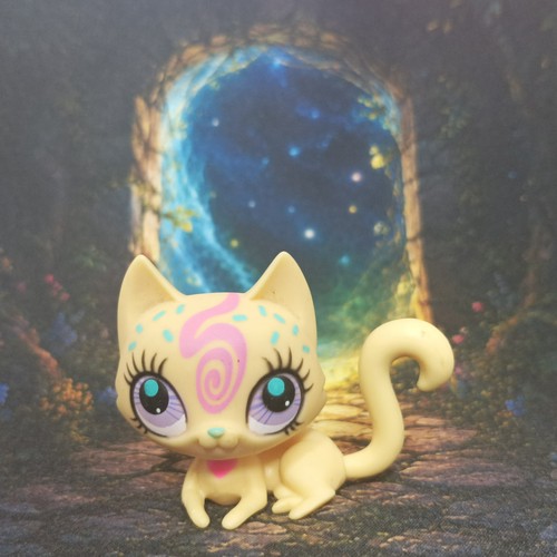 Chat sphynx 3058 - sphynx, littlest