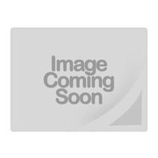 SMS80R Studio Moniteur