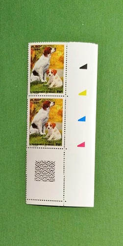 France 1999 chien - france,